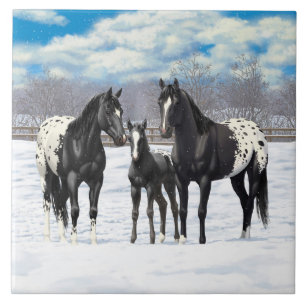 Carreau Chevaux Appaloosa Noir En Neige