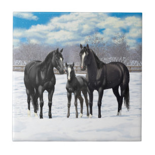 Carreau Chevaux Du Quartier Noir En Neige