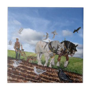 Carreau Chevaux Lourds Qui Jouent En Mars