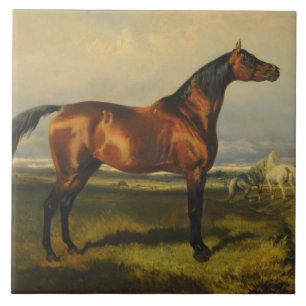 Carreau Chevaux sauvages vintages par Alfred de Dreux