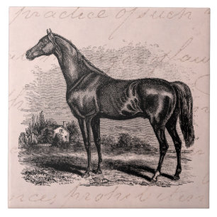 Carreau Chevaux vintages de pur sang de cheval de course