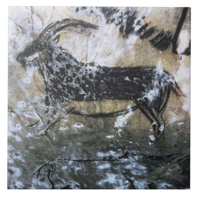 Carreau Chèvre ou chamois, peinture de roche dans la salle (Devant)