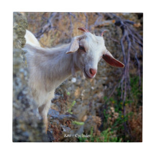 Carreau Chèvre souriante