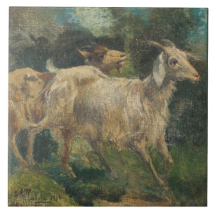 Carreau Chèvres (par Vincenzo Caprile)