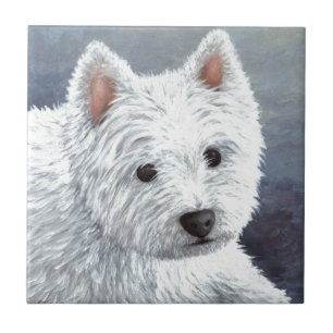Carreau chien 137 westie blanc