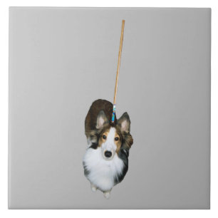 Carreau Chien à la broche