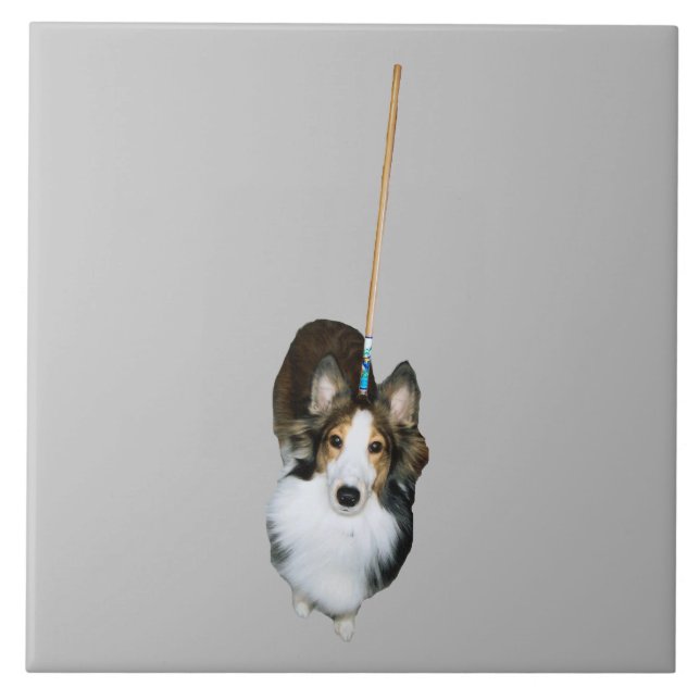 Carreau Chien à la broche (Devant)