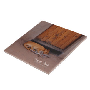 Carreau Chien au repos