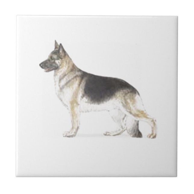 Carreau Chien berger allemand (Devant)