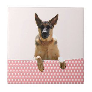 Carreau Chien berger allemand Pois roses