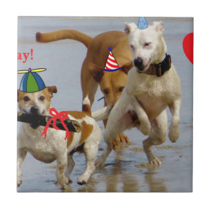 Carreau chien d'anniversaire heureux