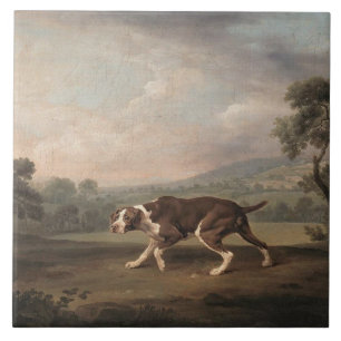 Carreau Chien de pointer espagnol (par George Stubbs)