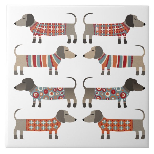 Carreau Chien de saucisse Dachshund (Devant)