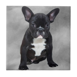 Carreau Chien de taureau français assis aquarelle peinture