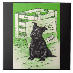 Carreau Chien écossais par livraison spéciale