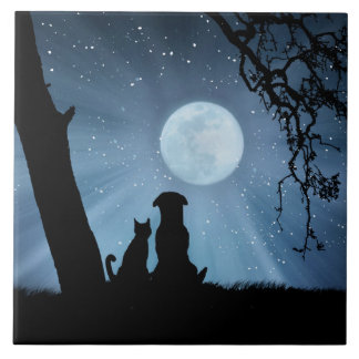 Carreau Chien et chat super mignons avec l'art de la lune