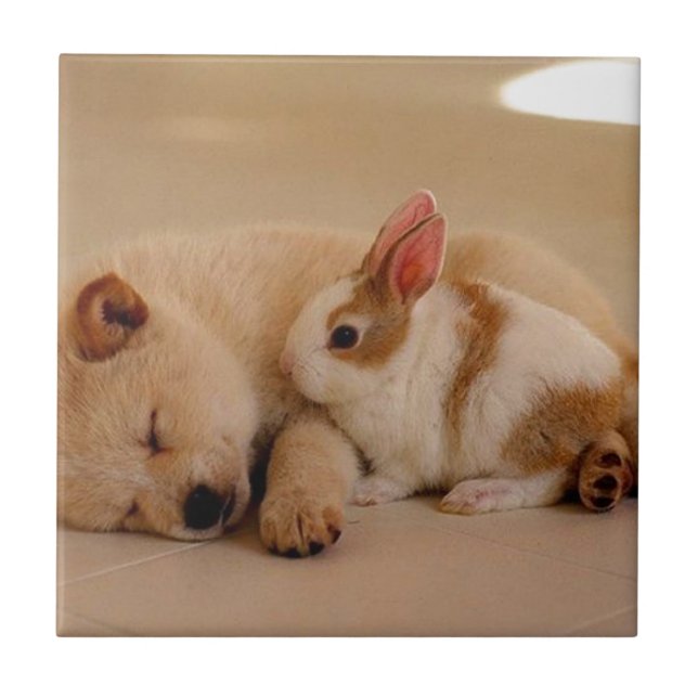 Carreau Chien et lapin (Devant)
