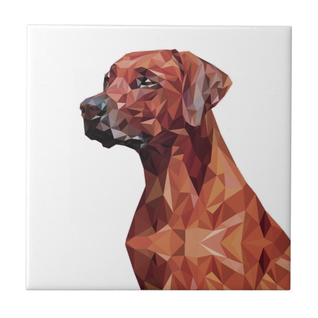 Carreau Chien géométrique Brown (Devant)