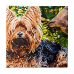Carreau Chien mignon animal de compagnie Yorkie Peace Love