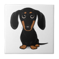 Chien noir et tan Dachshund mignon Weiner