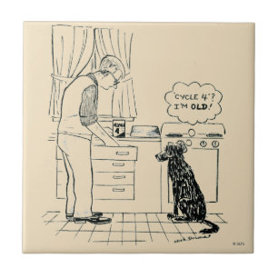 Carreau Chien vieillissant