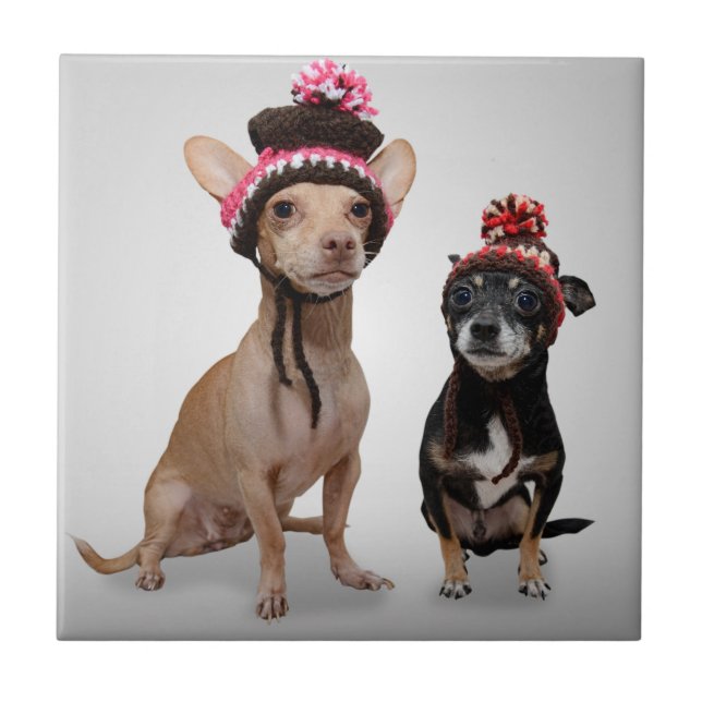 Carreau Chiens de chiwawa avec la photo de casquettes (Devant)