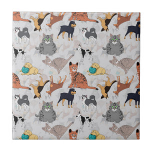 Carreau Chiens Et Chats Cutes Design Motif