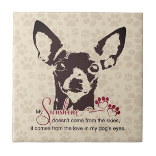 Carreau Chihuahua Chien My Sunshine Brown