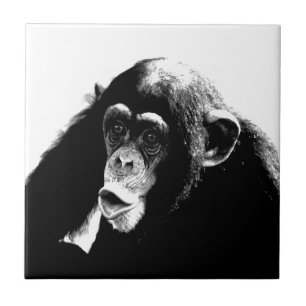 Carreau Chimpanzé noir blanc