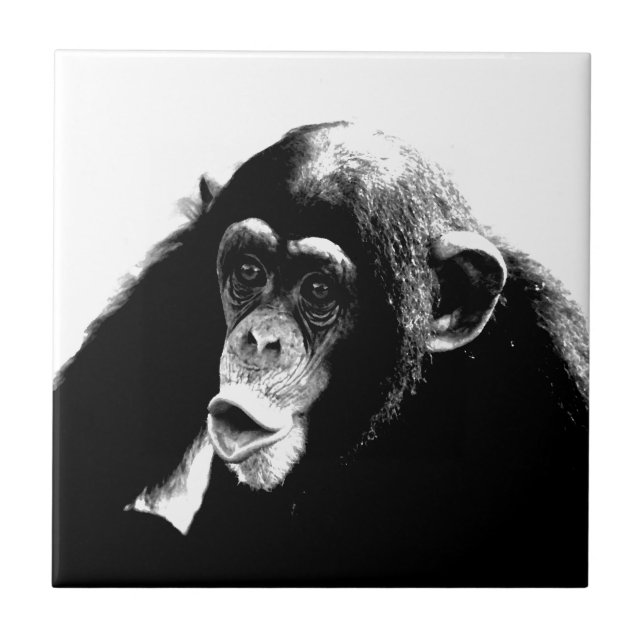 Carreau Chimpanzé noir blanc (Devant)