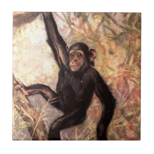 Carreau chimpanzeehangingintree002_original