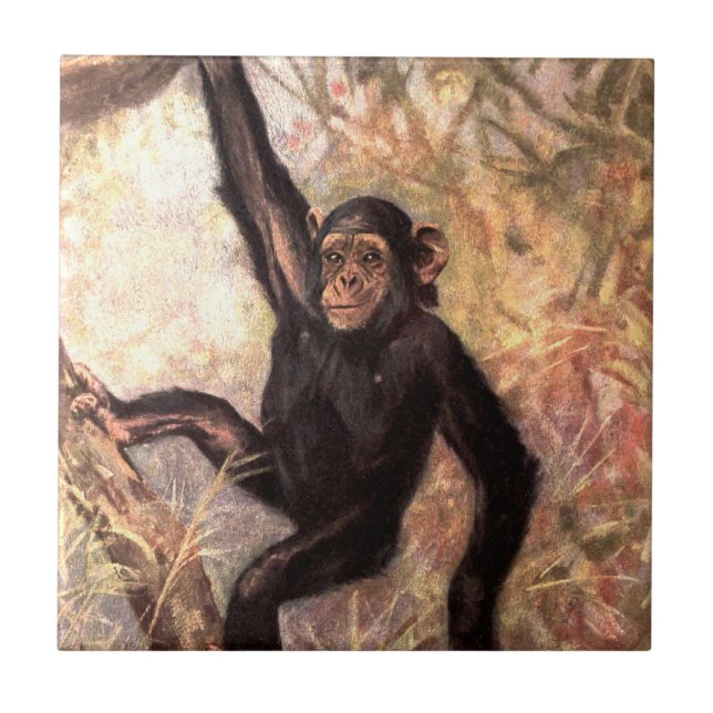 Carreau chimpanzeehangingintree002_original (Devant)