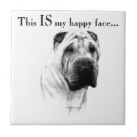 Chinois Shar Pei Joyeux Visage