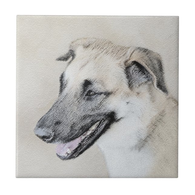 Carreau Chinook (oreilles d'hélicoptère) Peinture - Chien  (Devant)