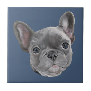 Carreau Chiot de bouledogue français