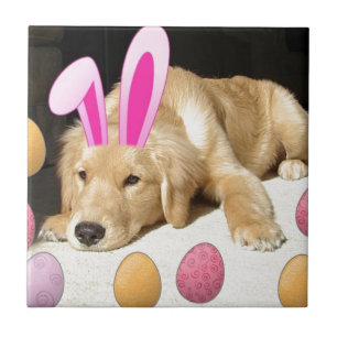 Carreau Chiot de Pâques Golden Retriever
