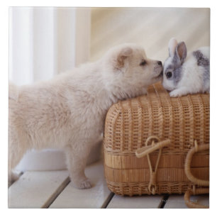 Carreau Chiot et lapin