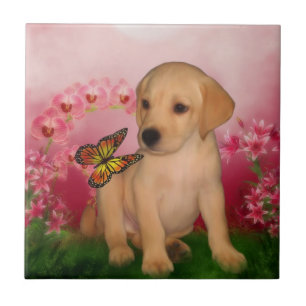 Carreau Chiot Labrador Retriever Jaune Papillons Chien