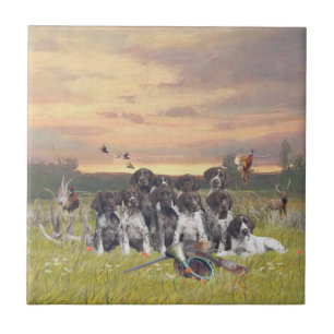 Carreau Chiots pointeurs germains