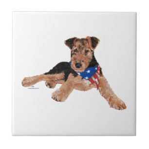 Carreau Chiots Terrier Patriotique