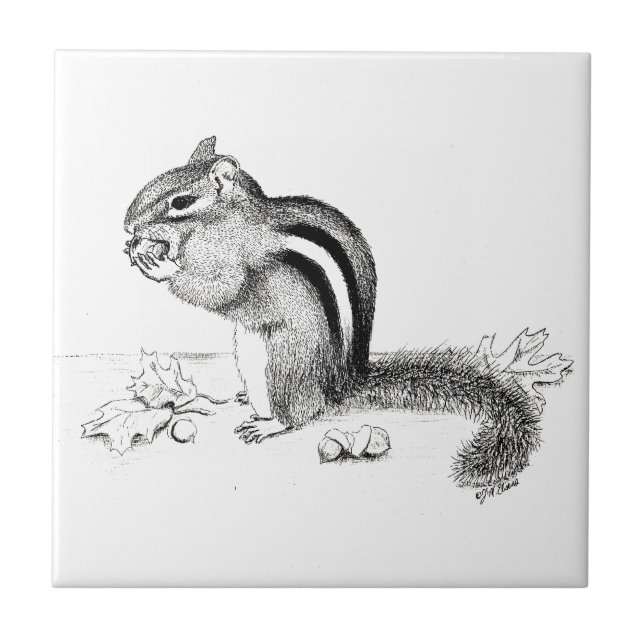 Carreau Chipmunk (Devant)