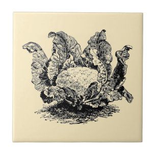 Carreau Chou-fleur végétal vintage de l'époque victorienne