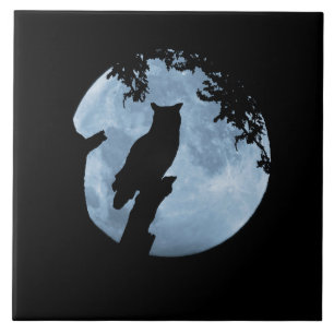 Carreau Chouette et Pleine lune 