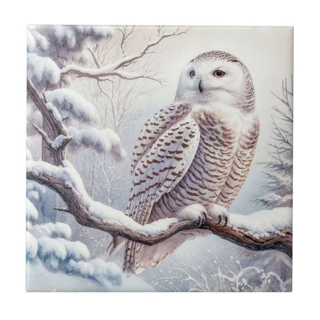 Carreau Chouette neige aquarelle (Devant)