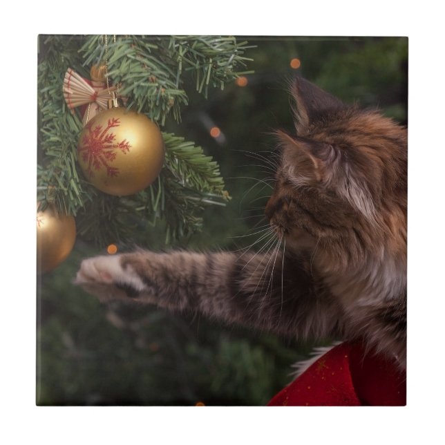 Carreau Christmas Cat (Devant)