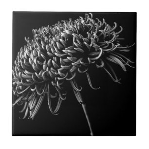 Carreau Chrysanthème
