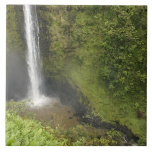 Carreau Chutes d'Akaka, côte d'Hamakua, île d'Hawaii,