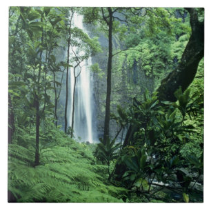Carreau Chutes de Hanakapiai le long de la côte Na Pali, K