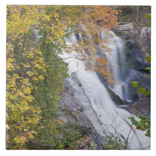 Carreau Chutes de la rivière Bald