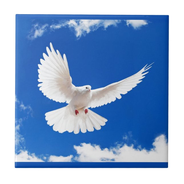 Carreau Ciel de vol d'amour de paix d'oiseau de colombe de (Devant)